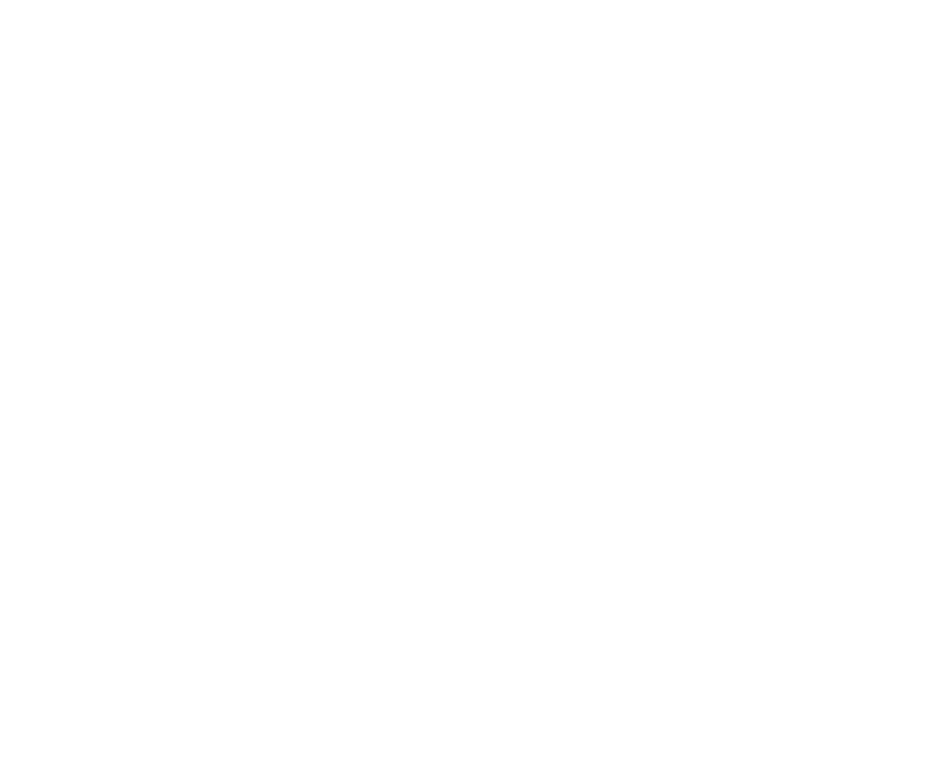 Formula Discoteque